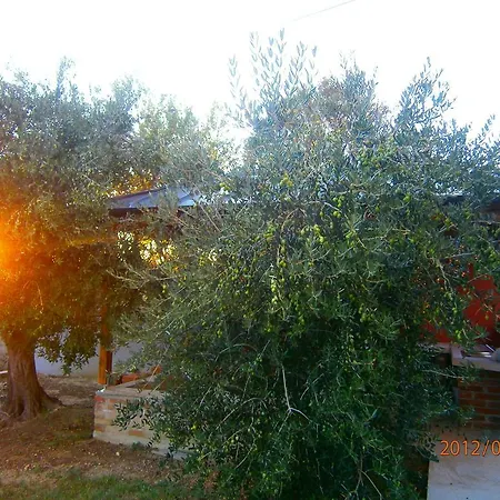 Zobic * Rab Town