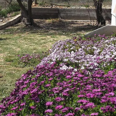 Zobic Rab Town